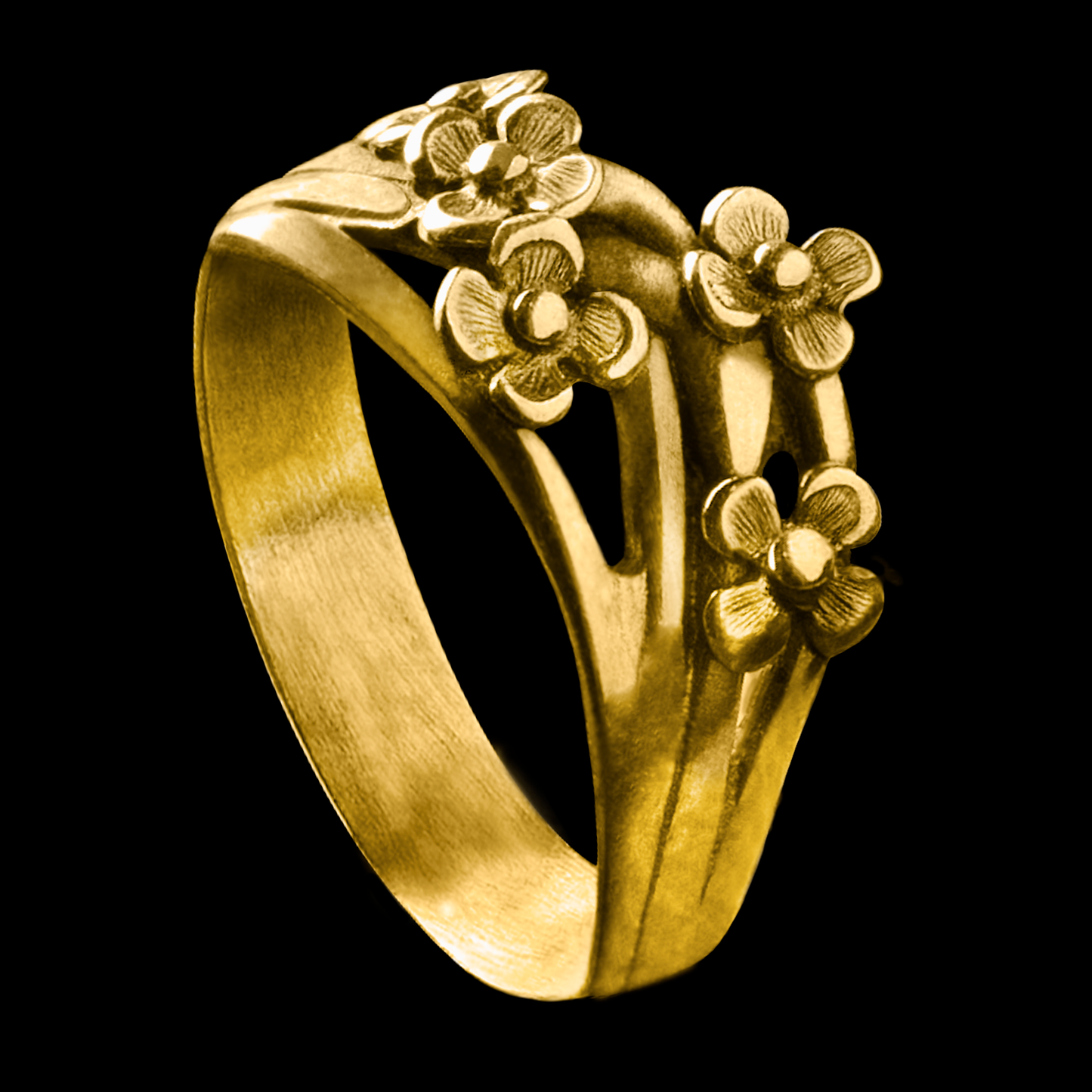 Kópsia Silver Ring with Gold Plating
