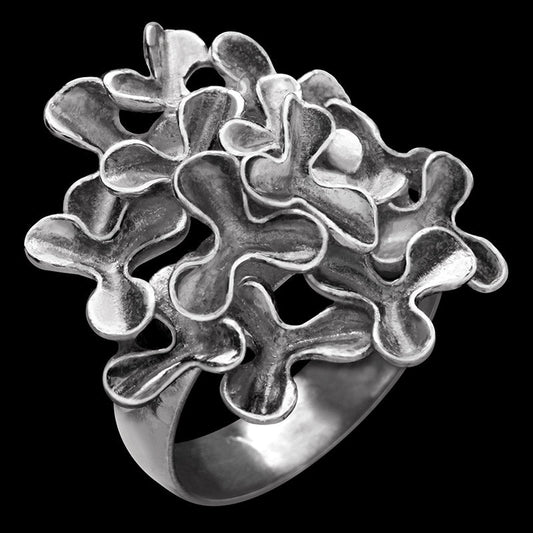 Astrapeia Sterling Silver Ring