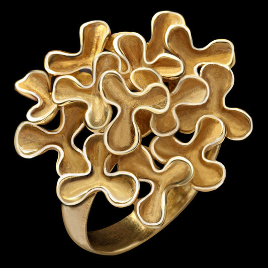 Gold-Plated Silver Ring - Astrapeia Design